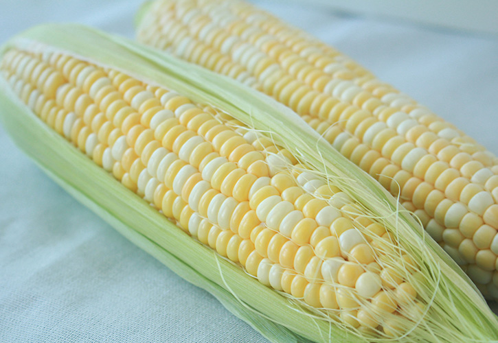 トウモロコシ