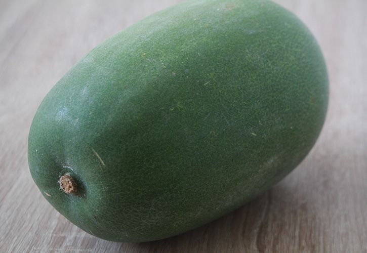 冬瓜3
