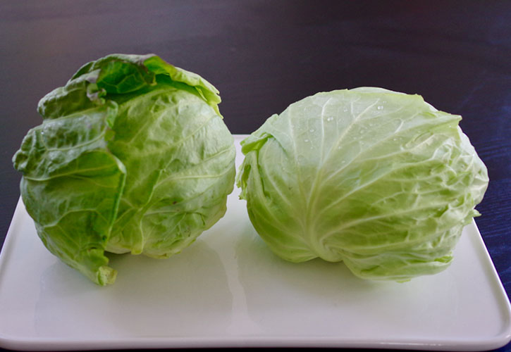 キャベツ比較