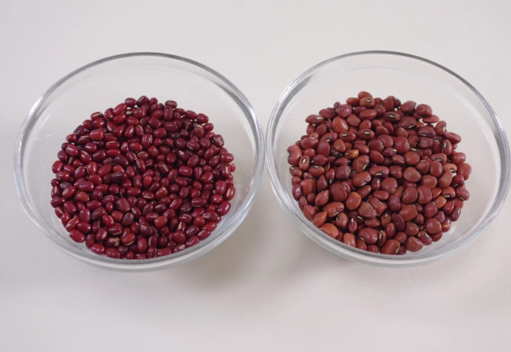 ささげと小豆