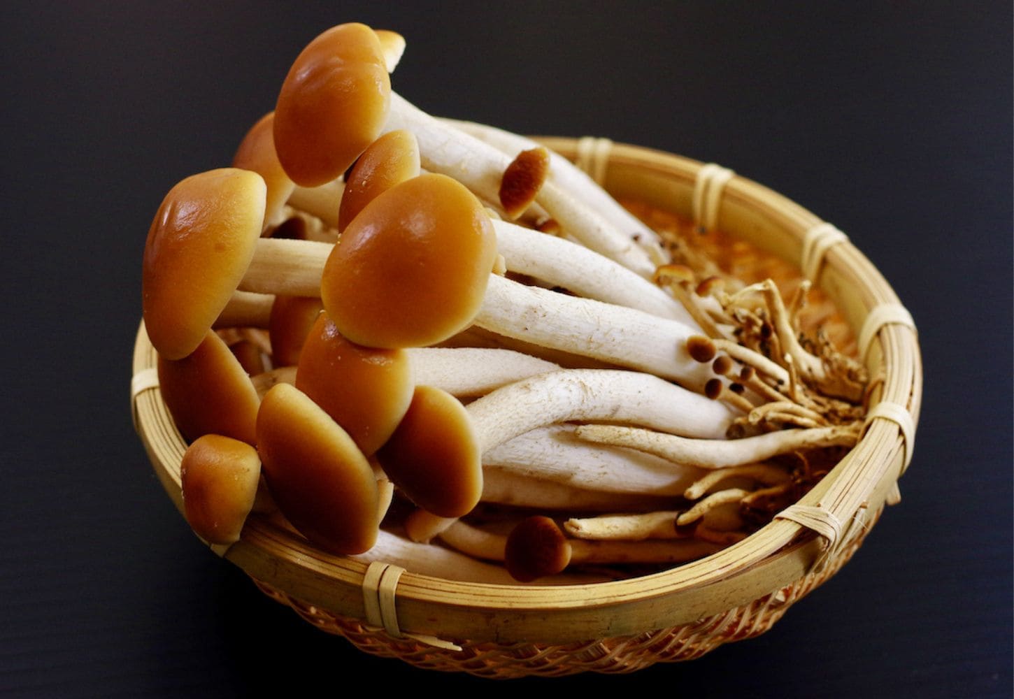 ヤナギマツタケ